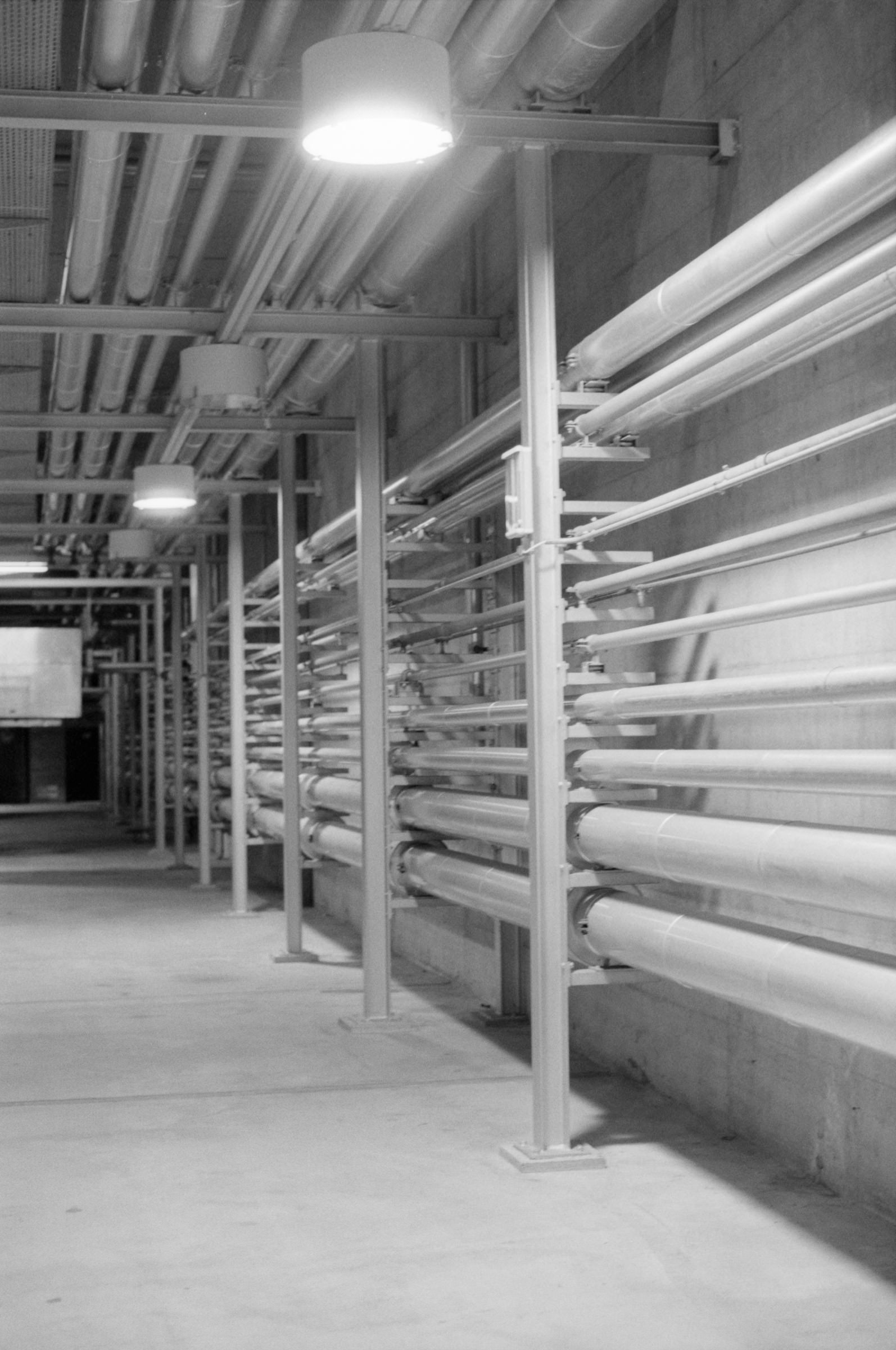 AHP F1994 11 005 sc250521 img03 NLP